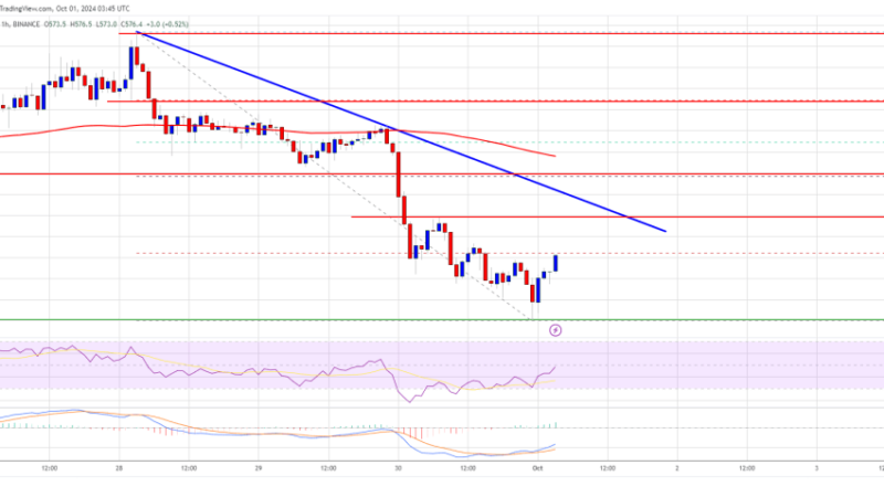 BNB Price Could Regain Momentum: Is an Upswing Coming?