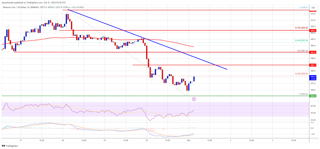 BNB Price Could Regain Momentum: Is an Upswing Coming?