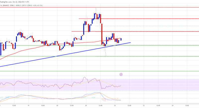 BNB Price Poised for Fresh Increase: Will Momentum Build?