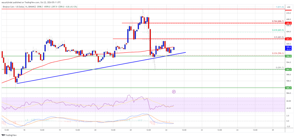 BNB Price Poised for Fresh Increase: Will Momentum Build?