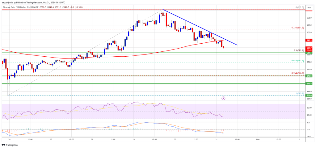 BNB Price Slips as Peers Climb: Can It Regain Ground?