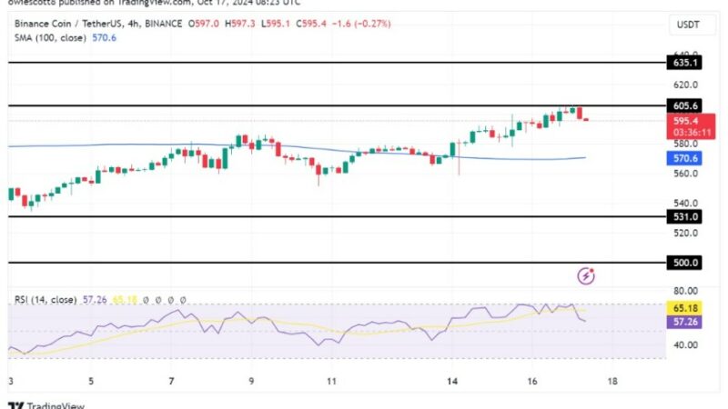 BNB Rejection At Key Level Hints At A Potential Price Correction