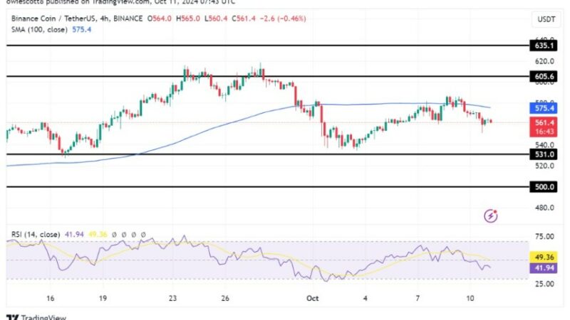 BNB Under Siege: Failed Recovery Sparks Fears of Deeper Losses