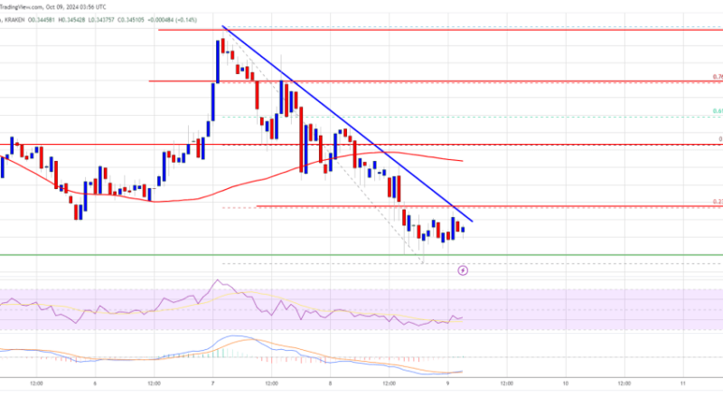 Cardano (ADA) Could Recover Strongly If It Smashes This Barrier