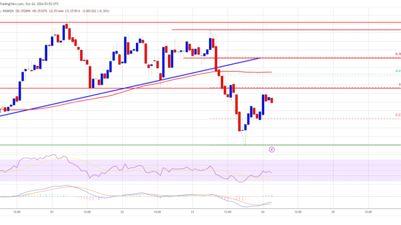 Cardano (ADA) Struggles to Build Bullish Momentum: Will It Turn Around?