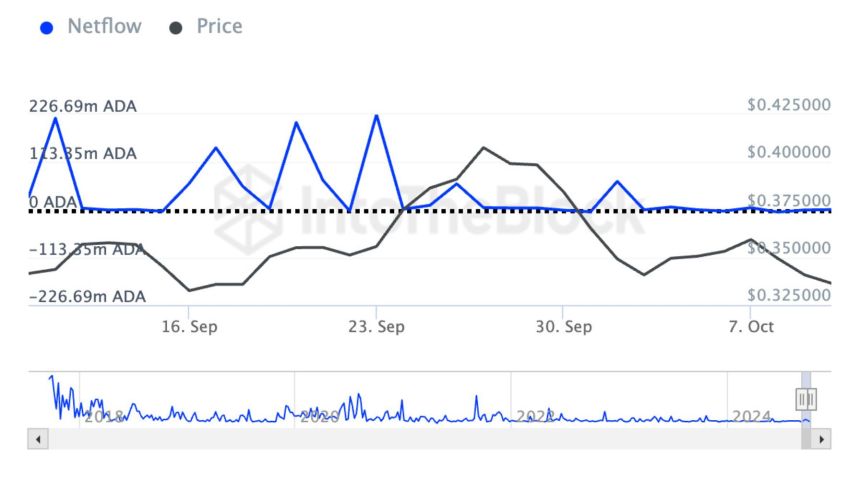 Cardano Faces 30% Correction Risk After Drop In Large Holders’ Netflow – Details