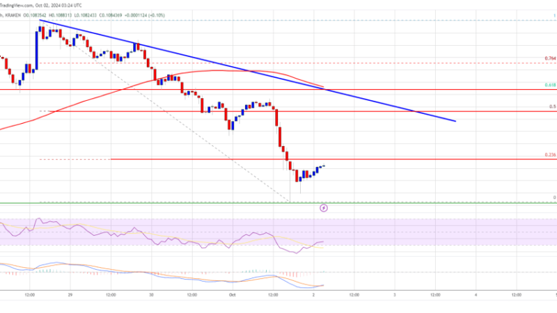 Dogecoin (DOGE) Falls to Support: Can It Avoid a Breakdown?