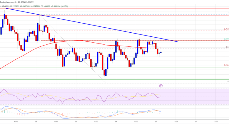 Dogecoin (DOGE) Poised for Another Rise: Can Bulls Drive Higher?