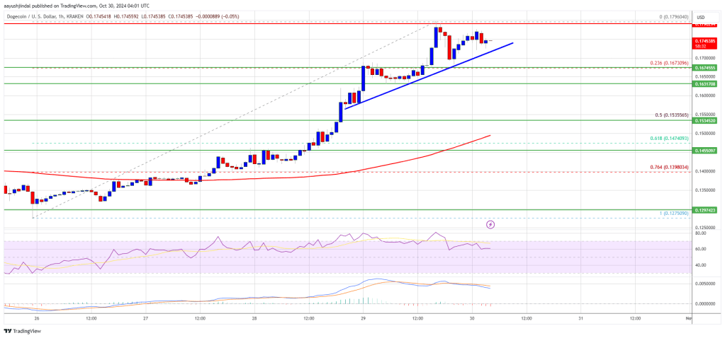 Dogecoin (DOGE) Rockets Ahead: Will the Rally Hold?