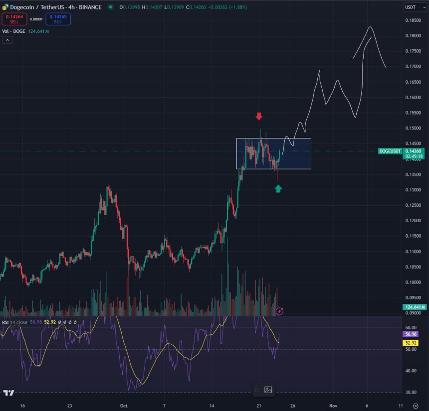 Dogecoin Liquidity Sweep Signals DOGE Is Ready For A Rally