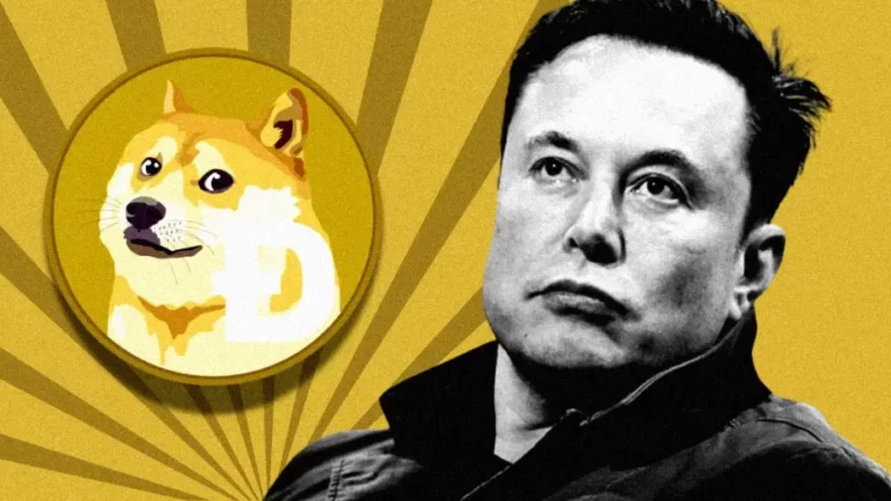 Dogecoin Price Soars 6%: As Caitlin Long Calls on Musk’s Budget Cuts Proposal!