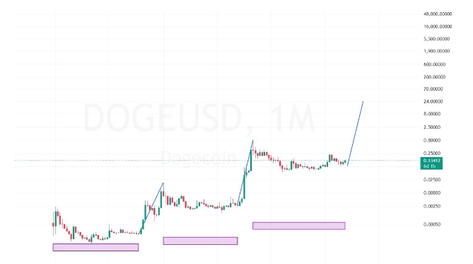 Dogecoin Price To $24? Analyst Says No One Will Believe It Until It Happens