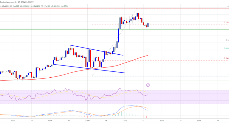 Dogecoin Restarts Rally: Is The Doge Hype Reigniting?