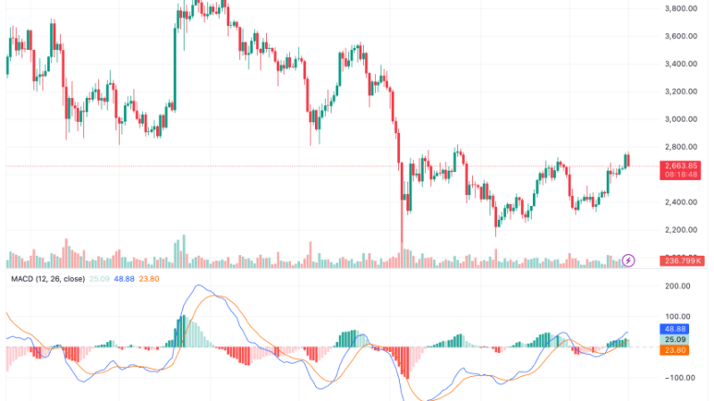 Ethereum Accumulation Rises As 70% Holders Are In Profit: What It Means For ETH Price?