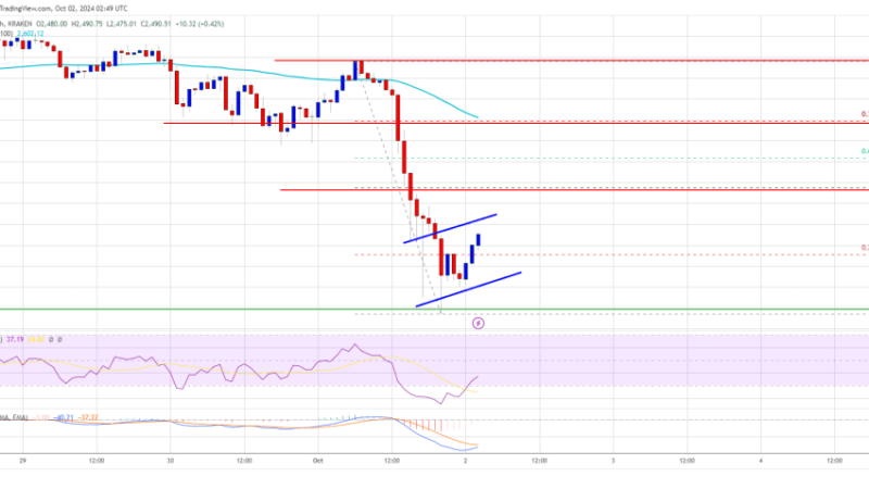 Ethereum Price Extends Losses: Is The Downtrend Set to Continue?