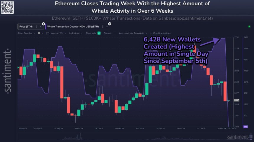 Ethereum Whale Activity Spikes To 6-Week High – Smart Money Accumulation?