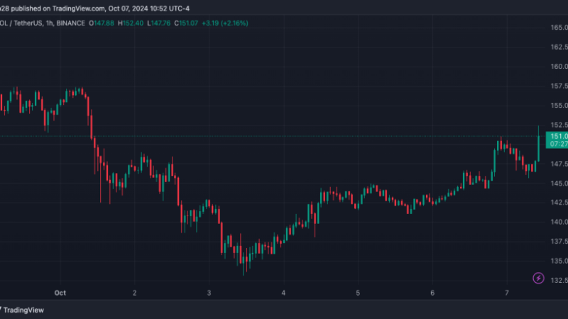 Experts Discuss What Made Solana Memecoins The Cycle’s Top Narrative