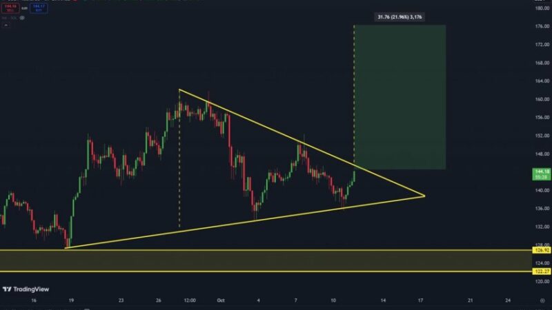 Solana Prepares For A 20% Rally – Can SOL Reclaim $176?