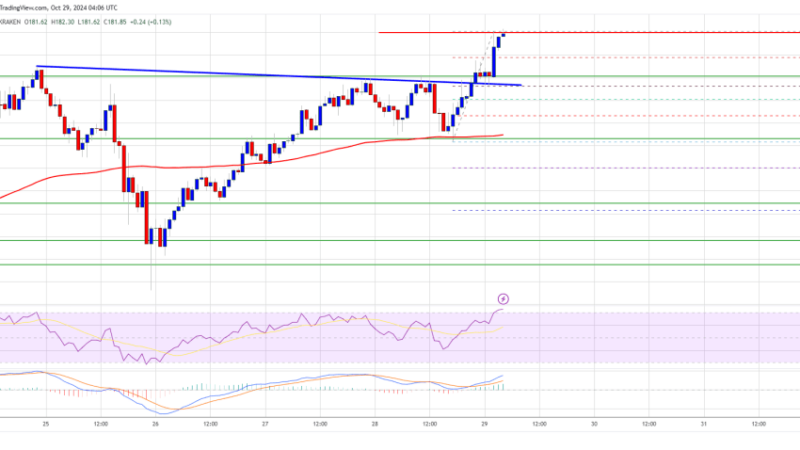 Solana (SOL) Aims for $200 Retest: Is Momentum Building?