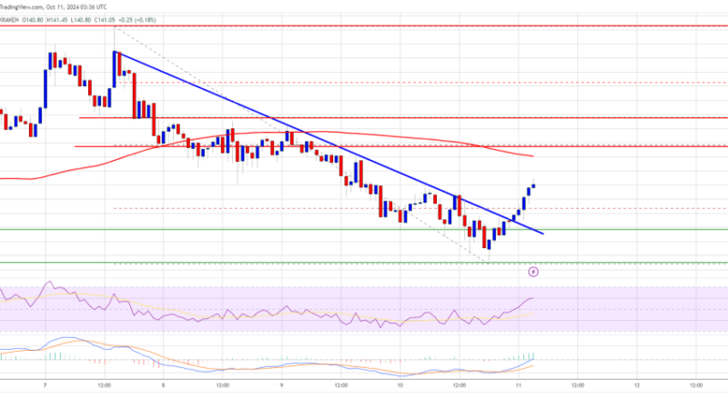 Solana (SOL) Could Regain Steam: Is a Fresh Rally Ahead?