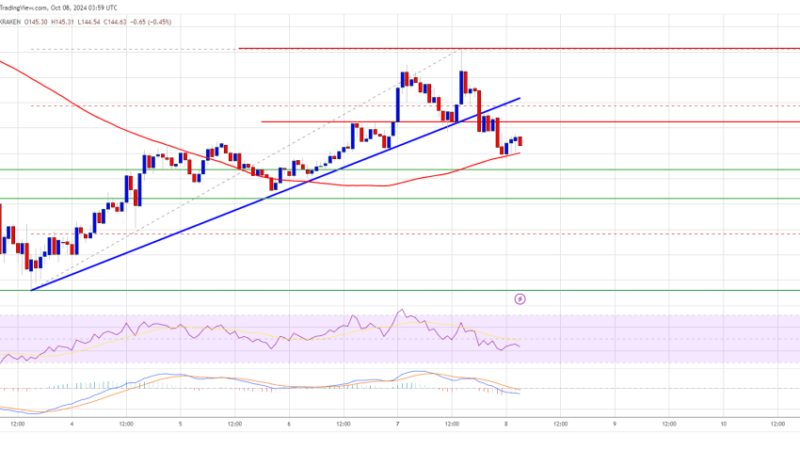 Solana (SOL) Flashes Breakdown Signs: Will Support Hold?