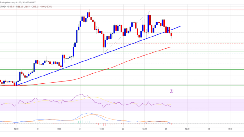 Solana (SOL) Hints at Downside Correction: Can It Hold Key Support?