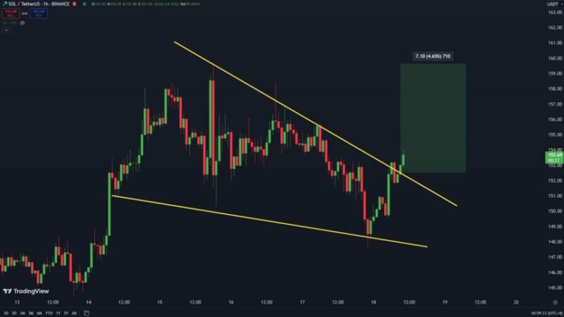 Solana Struggles To Break $160 Resistance As Top Analyst Predicts A Coming Surge