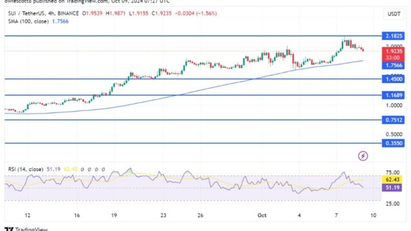 SUI Faces A Pullback: Here Are Potential Bullish Turnaround Points