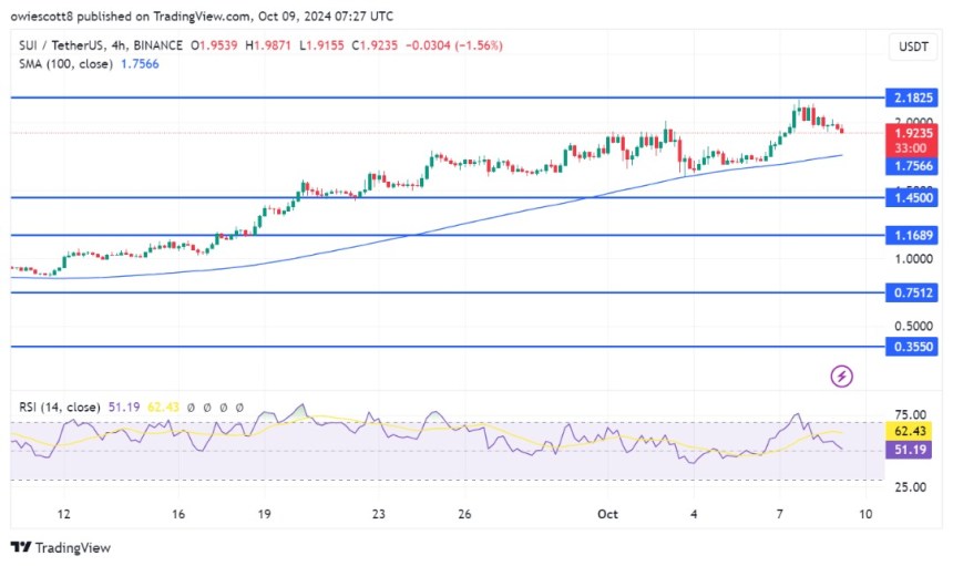 SUI Faces A Pullback: Here Are Potential Bullish Turnaround Points