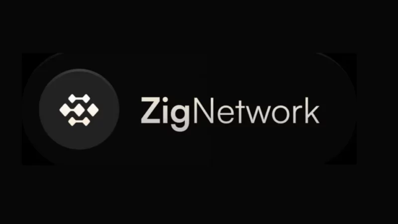 The 2024 Outlook: Zig Network (ZIG) Anticipated to Surpass Ronin (RON) and Akash Network (AKT)