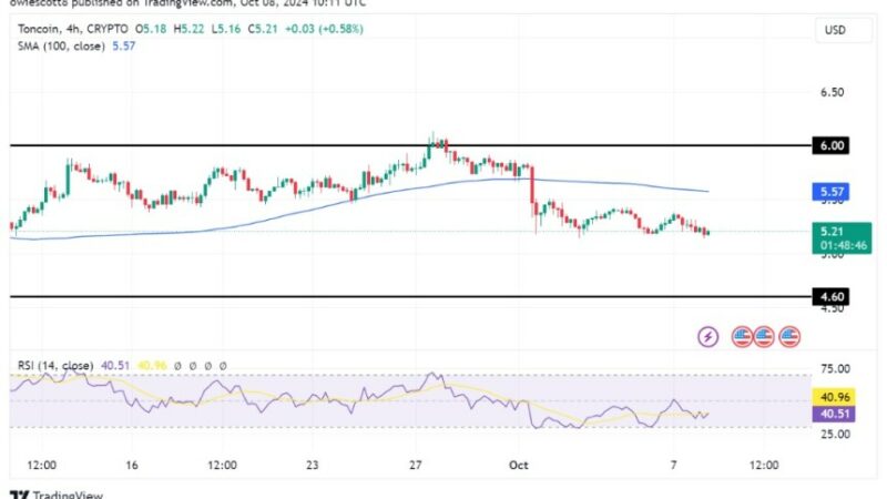 TON Recovery Stalls: Another Price Decline Hinders Bullish Efforts