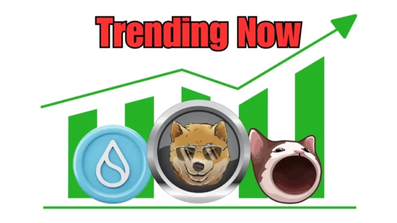 Trending Now: What’s Pushing Sui, Popcat, and Dogen to the Top?