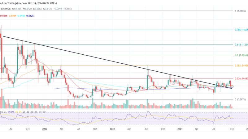 Why Isn’t XRP Price Moving? Crypto Pundit Claims The Answer