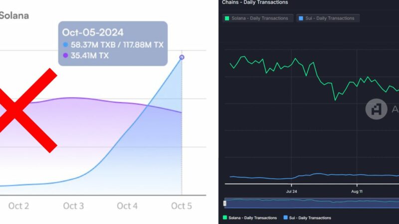 Will SUI Surpass Solana? Expert Analysis Reveals Key Insights