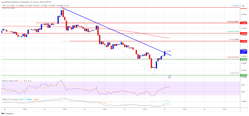 XRP Price Aims to Recover: Can It Reverse the Downtrend?