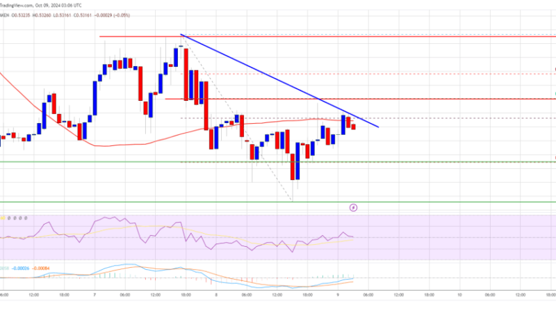 XRP Price Coiling for a Leap: Can It Finally Break Through?