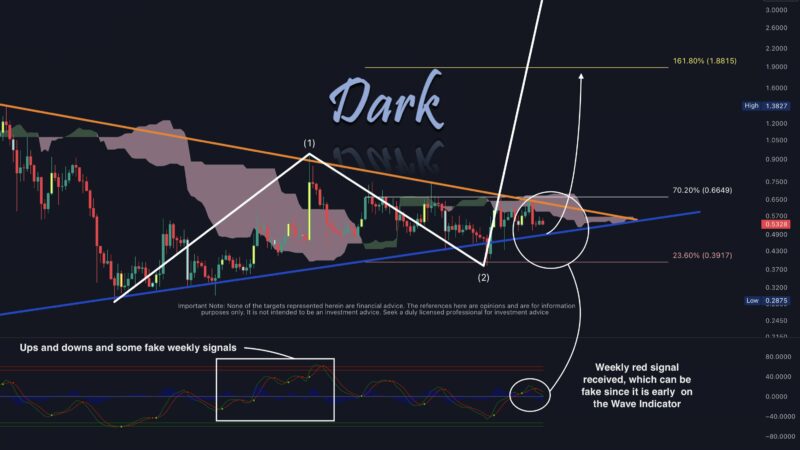 XRP Price Could Face Last Major Crash, Warns Crypto Analyst