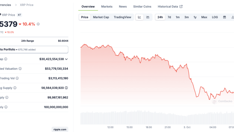 XRP Price Crashes 12% as SEC Appeals in the Ripple Lawsuit