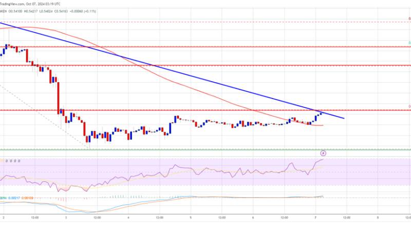 XRP Price Eyes Breakout: Will It Recover Lost Ground?