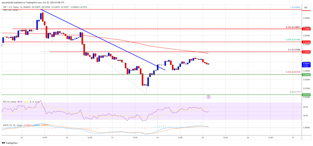 XRP Price Faces Ongoing Struggles: Will a Turnaround Happen?