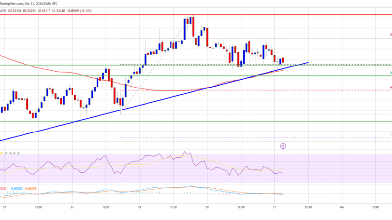 XRP Price Faces Support Test: Is a Rebound on The Horizon?