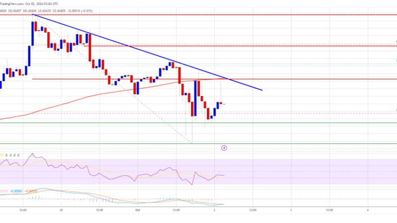 XRP Price Fights to Regain Momentum: Will It Break Through??