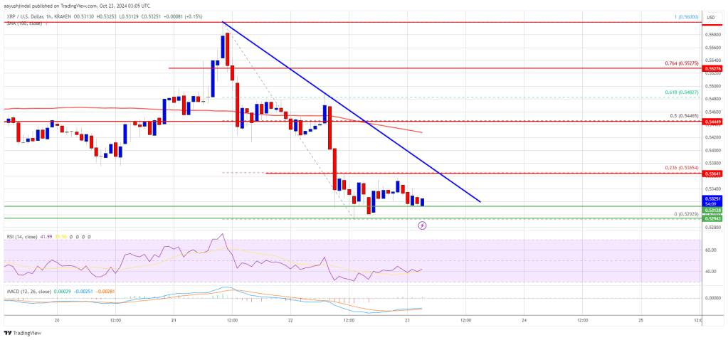 XRP Price Flashes Bearish Signals: Are More Losses Coming?
