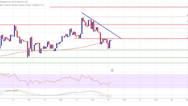 XRP Price Set To Resume Upside: Is Momentum Building?