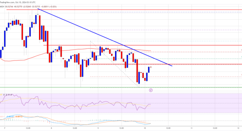 XRP Price Slows Down: Will Bears Take Over or Bulls Fight Back?