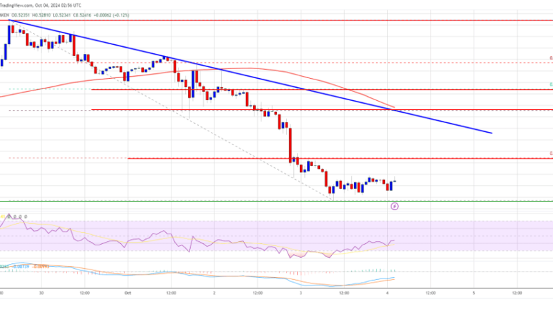 XRP Price Stabilizes After Losses: Can Bulls Regain Momentum?