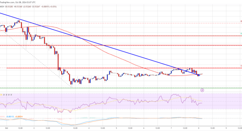 XRP Price Struggle Continues: Can Bulls Turn It Around?