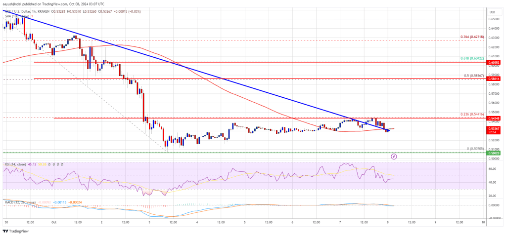 XRP Price Struggle Continues: Can Bulls Turn It Around?