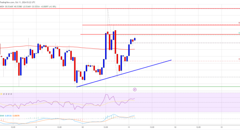 XRP Price Teases Fresh Gains: Is a Strong Move Ahead?