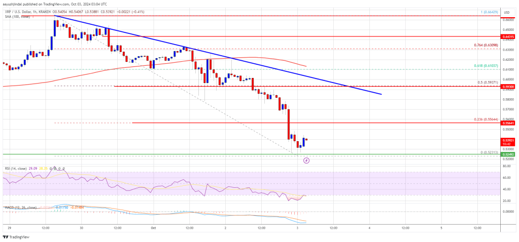 XRP Price Turns Red: Can Bulls Stop the Slide?